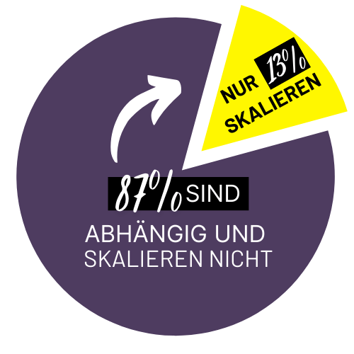 nur-13-prozent-skalieren